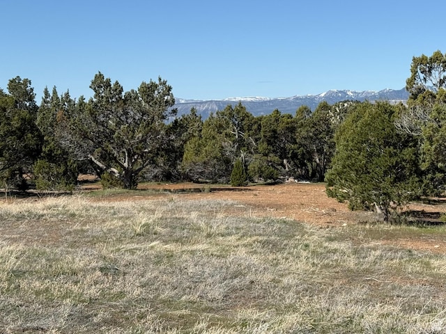 6765 E 11125 N Unit 5, Spring City, UT 84662 - photo 2