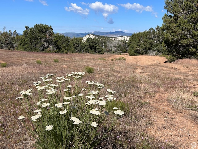 Unit 5, Spring City, UT 84662
