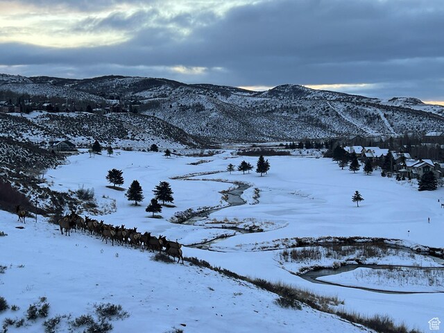 9266 Par Ct, Park City, UT 84098 - mountain view