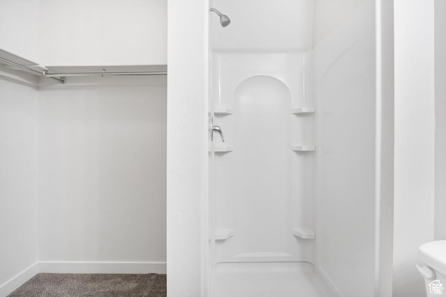 236 E 630 N, Vineyard, UT 84059 - full bath featuring a shower, baseboards, a walk in closet, and toilet