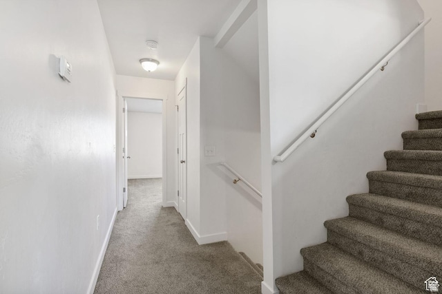 236 E 630 N, Vineyard, UT 84059 - stairs featuring carpet flooring and baseboards