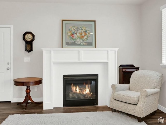 250 W 1200 S Unit 127, Tremonton, UT 84337 - living area featuring a glass covered fireplace and wood finished floors