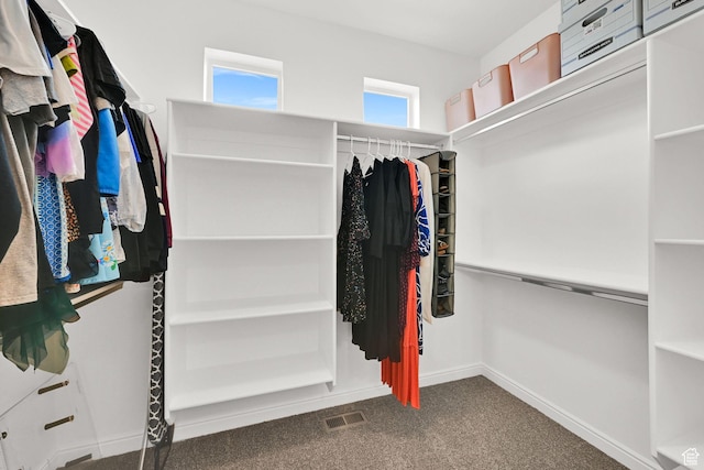 250 W 1200 S Unit 127, Tremonton, UT 84337 - spacious closet featuring dark carpet