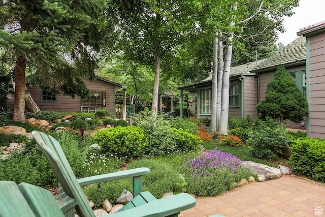 view of yard with a patio area
