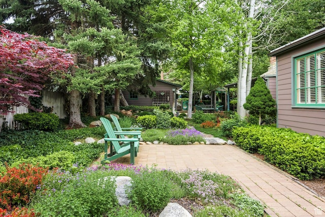 view of yard featuring a patio