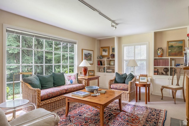 living room with healthy amount of natural light, track lighting, and carpet floors