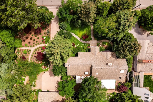 bird's eye view