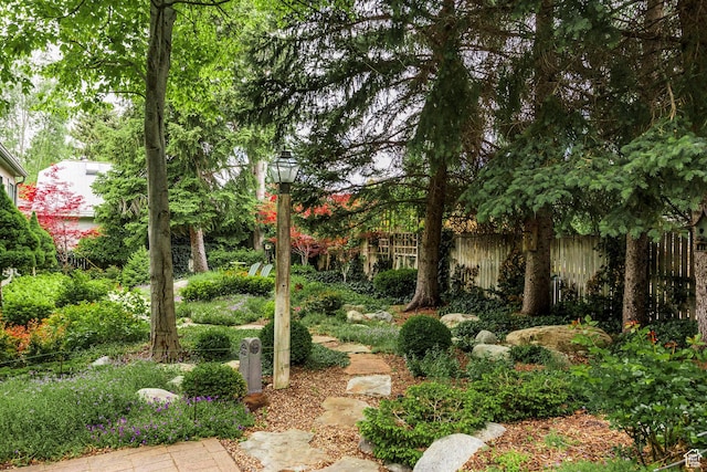 view of yard