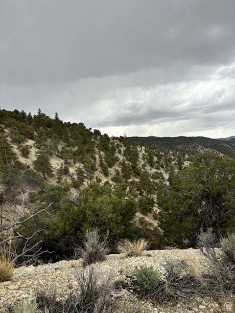 Unit 18, Duchesne, UT 84021 - photo 1