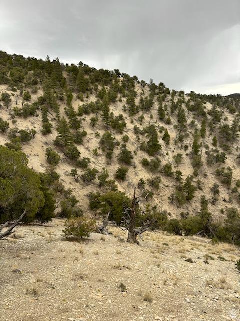 Unit 18, Duchesne, UT 84021 - photo 5