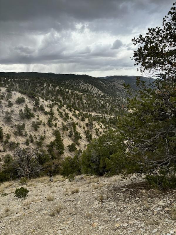 Unit 18, Duchesne, UT 84021 - photo 4