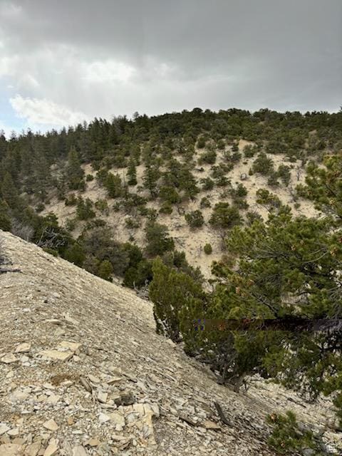Unit 18, Duchesne, UT 84021 - photo 3