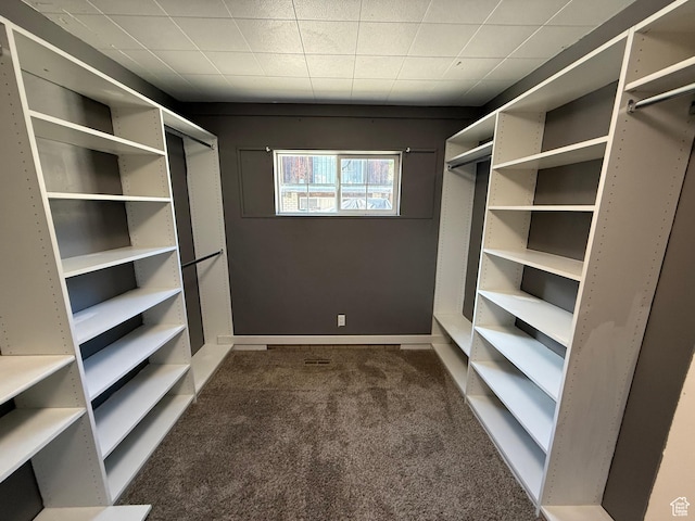 spacious closet with dark colored carpet