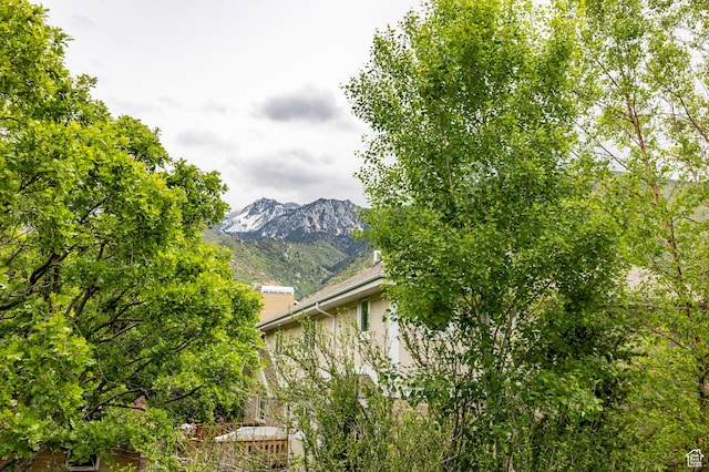 mountain view