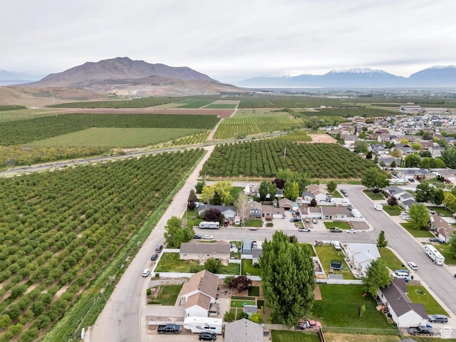 606 N 560 W, Santaquin, UT 84655 - overview of rural landscape with abundant farmland and a mountain backdrop