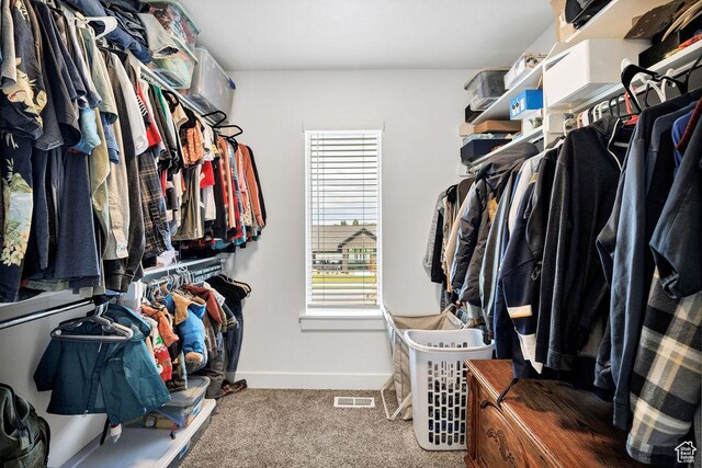 3137 S 225 W Unit 404, Nibley, UT 84321 - walk in closet featuring carpet flooring