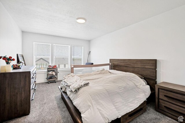 3137 S 225 W Unit 404, Nibley, UT 84321 - carpeted bedroom with baseboards
