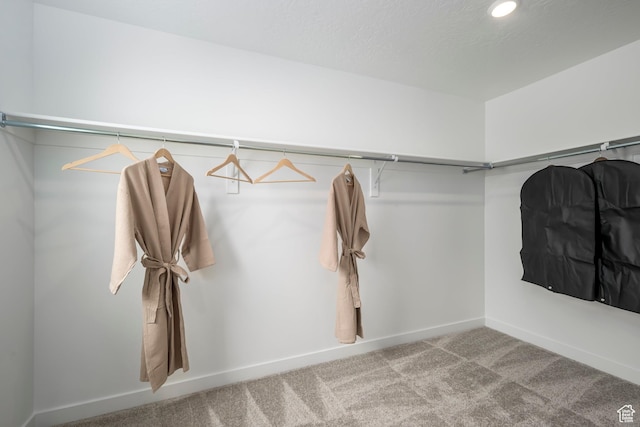 spacious closet with carpet