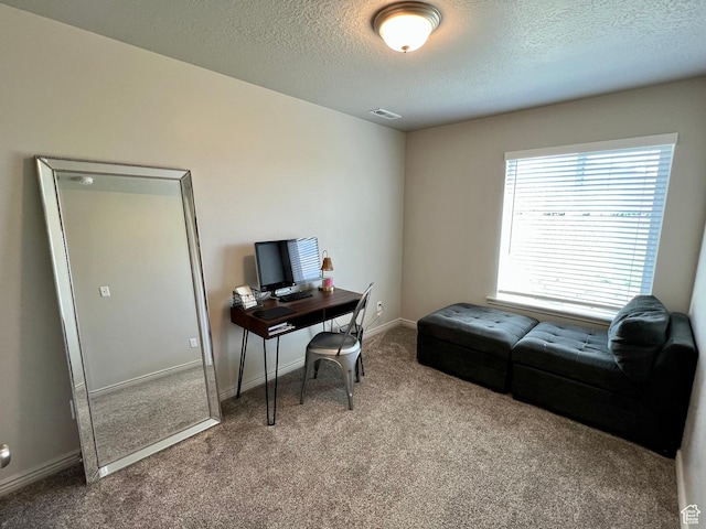 2594 E 600 N, Spanish Fork, UT 84660 - carpeted office featuring a textured ceiling and baseboards