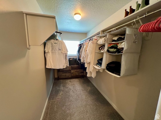 2594 E 600 N, Spanish Fork, UT 84660 - spacious closet with carpet flooring
