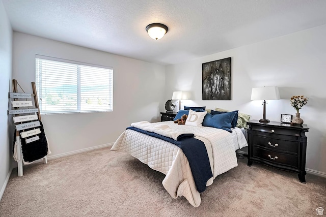 2178 S 60 E Unit 37, Heber City, UT 84032 - bedroom with light colored carpet, baseboards, and a textured ceiling