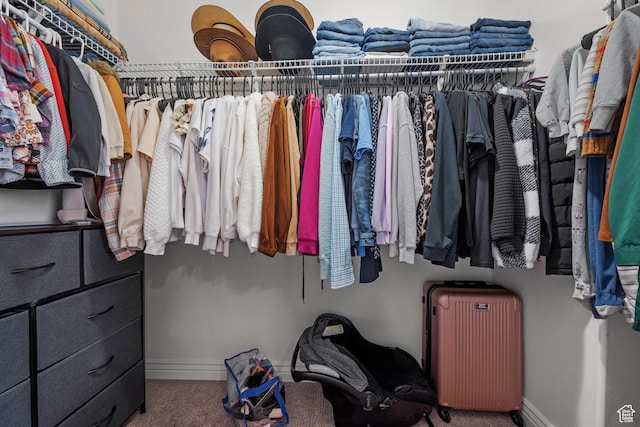 861 W 310 S, Pleasant Grove, UT 84062 - walk in closet featuring radiator heating unit and carpet flooring