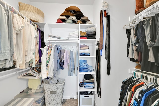 3507 S 4875 W, West Haven, UT 84401 - view of walk in closet