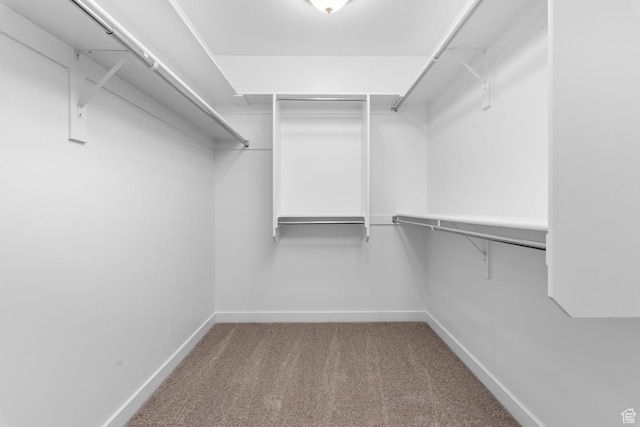 spacious closet with carpet flooring