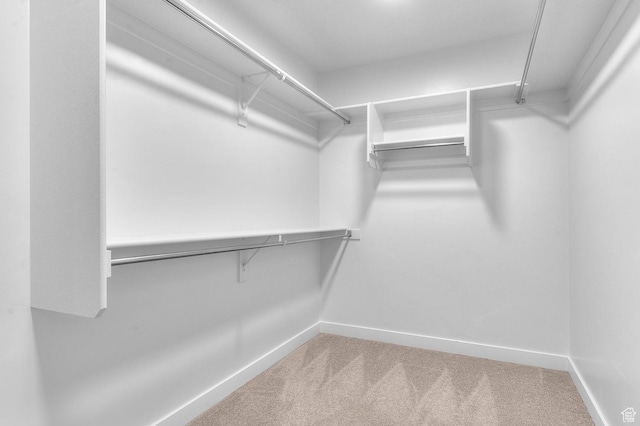 2293 W Prevedel Dr, West Haven, UT 84401 - spacious closet with carpet