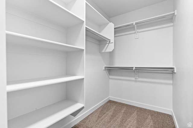 1689 S Haven Pkwy, West Haven, UT 84401 - spacious closet featuring dark carpet