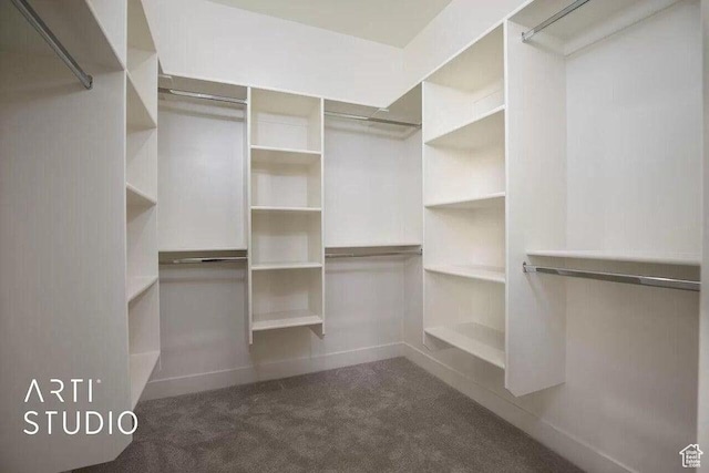 4883 N 10 E, Enoch, UT 84721 - spacious closet featuring carpet flooring