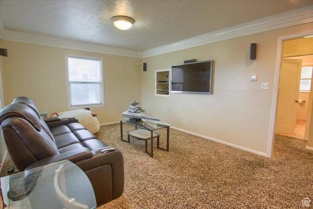708 Robins Ave, Ogden, UT 84404 - carpeted living room featuring ornamental molding and baseboards