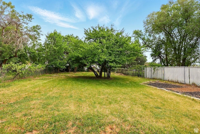 575 5th St, Ogden, UT 84404 - view of yard