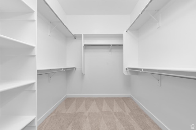 spacious closet with carpet