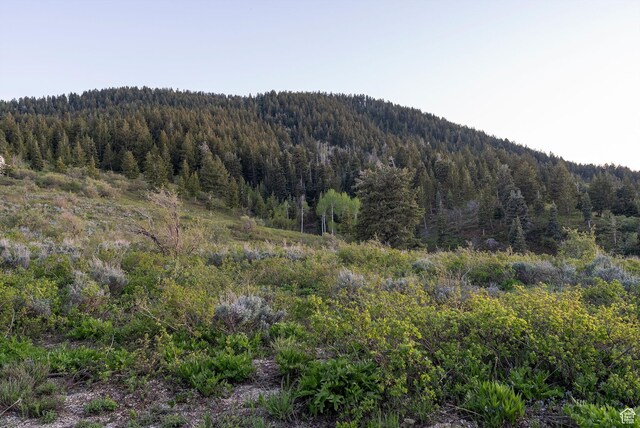 450 Crestview Dr, Summit Park, UT 84098 - view of mountain background with a forest