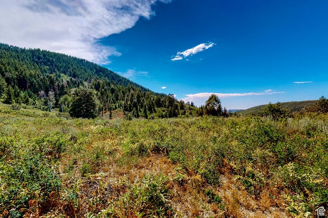 450 Crestview Dr, Summit Park, UT 84098 - mountain view featuring a heavily wooded area