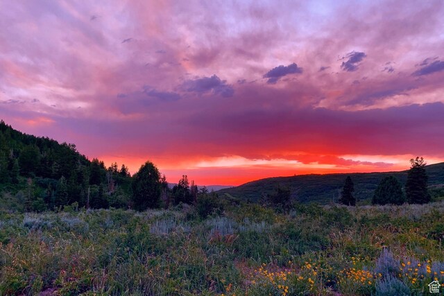 450 Crestview Dr, Summit Park, UT 84098 - mountain view