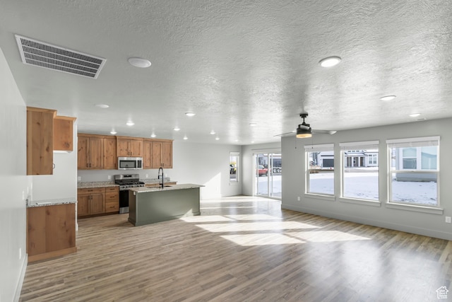 516 S 1580 W Unit 130, Logan, UT 84321 - kitchen with stainless steel appliances, a sink, open floor plan, light wood-type flooring, and recessed lighting