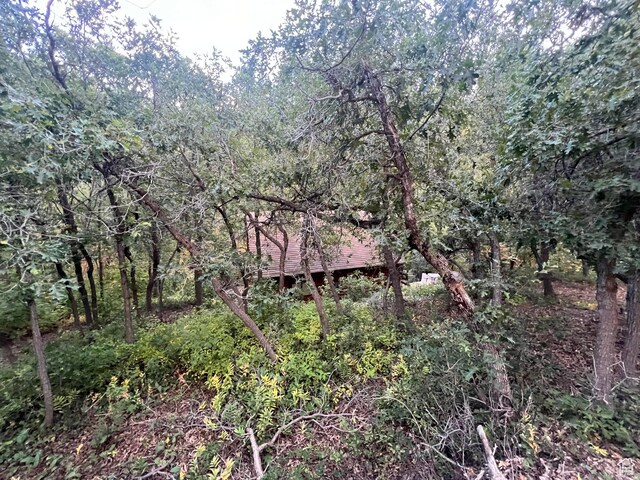 14 Birch Creek Rd Unit D14, Fairview, UT 84629