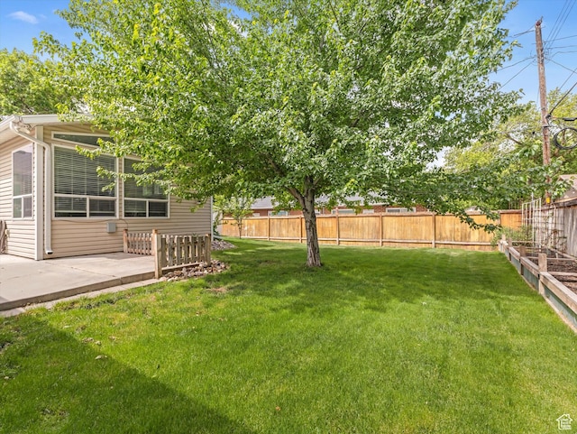 1429 E Sumac Way, Murray, UT 84121 - view of yard with a patio area