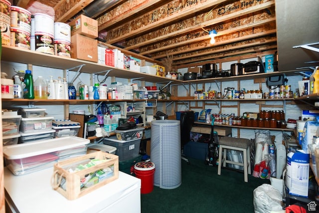 3155 S Autumn Blaze Cv W, West Valley City, UT 84128 - view of storage room