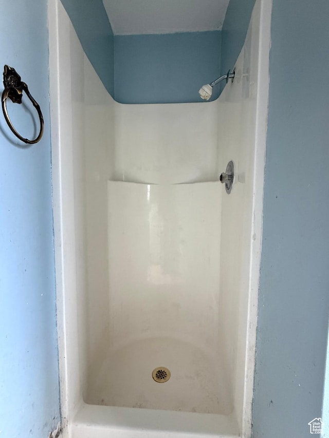bathroom with a shower
