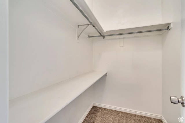 2057 W Marblewood Dr, Riverton, UT 84065 - walk in closet featuring carpet