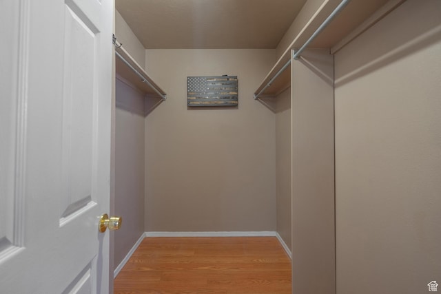 328 Hillcrest Cir, Central, UT 84722 - walk in closet with light wood-style floors