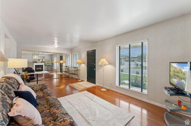 635 E Pioneer Ave S, Sandy, UT 84070 - living room featuring wood finished floors, baseboards, and a warm lit fireplace