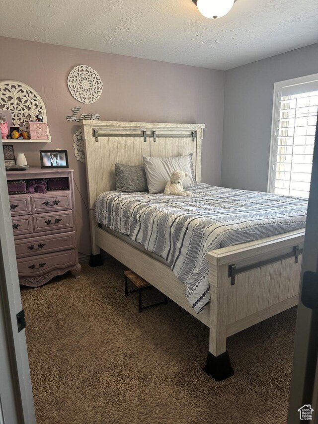 1783 E 2000 S, Naples, UT 84078 - carpeted bedroom with a textured ceiling