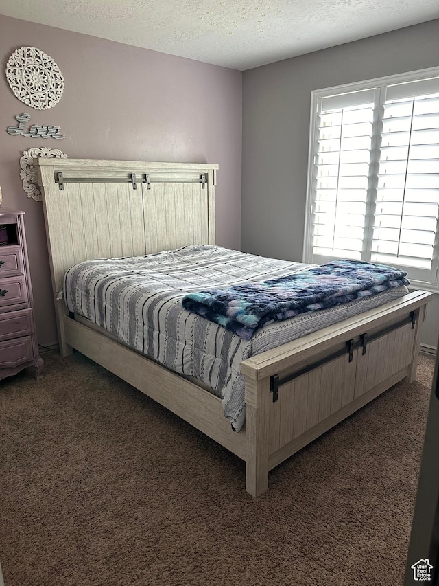 1783 E 2000 S, Naples, UT 84078 - bedroom with carpet and a textured ceiling