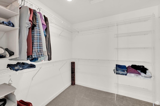 524 E Farmer Alumni Dr S, South Salt Lake, UT 84106 - walk in closet with carpet floors