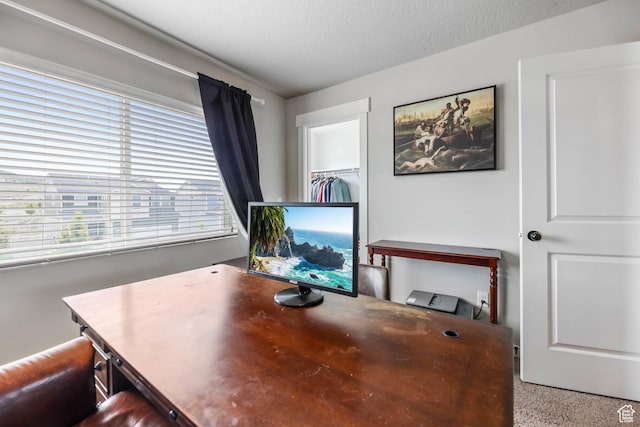 7886 N Bridleway Rd, Eagle Mountain, UT 84005 - office space featuring a textured ceiling