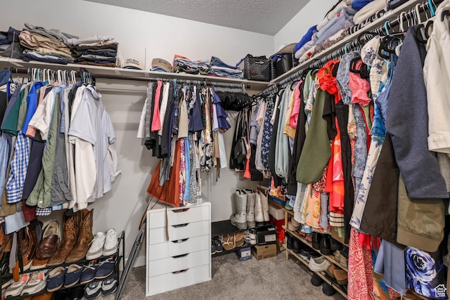 7886 N Bridleway Rd, Eagle Mountain, UT 84005 - spacious closet featuring carpet